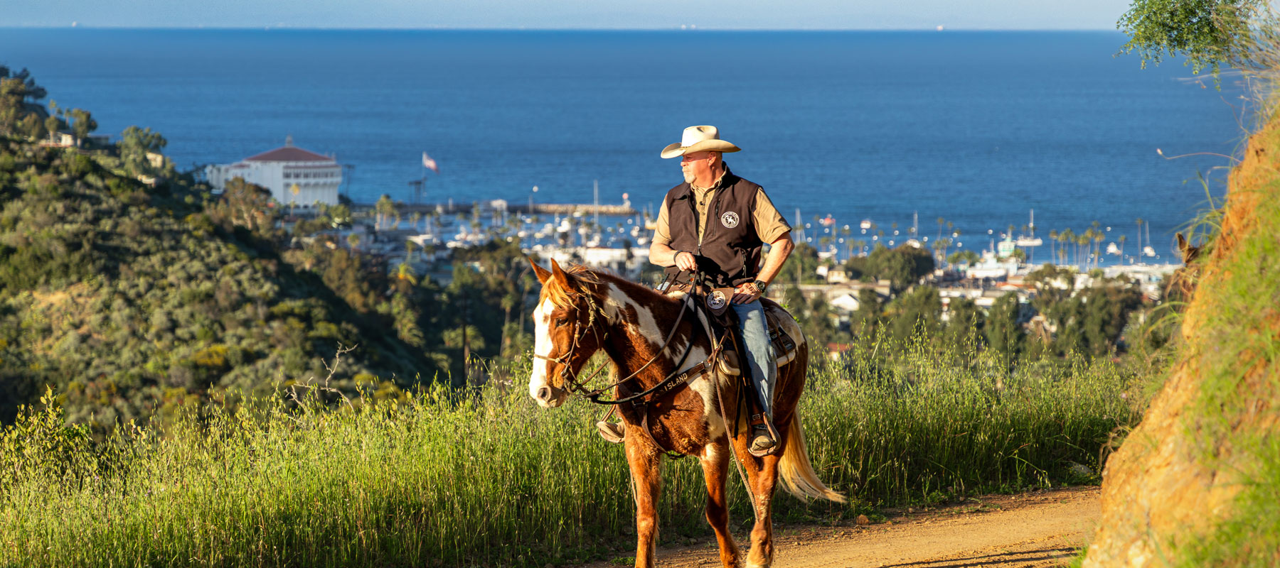 Horseback rider on a hillside trail overlooking Avalon Bay