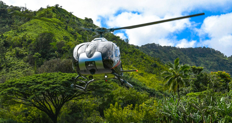 Explore the  heart of the Hana Rainforest with private landing