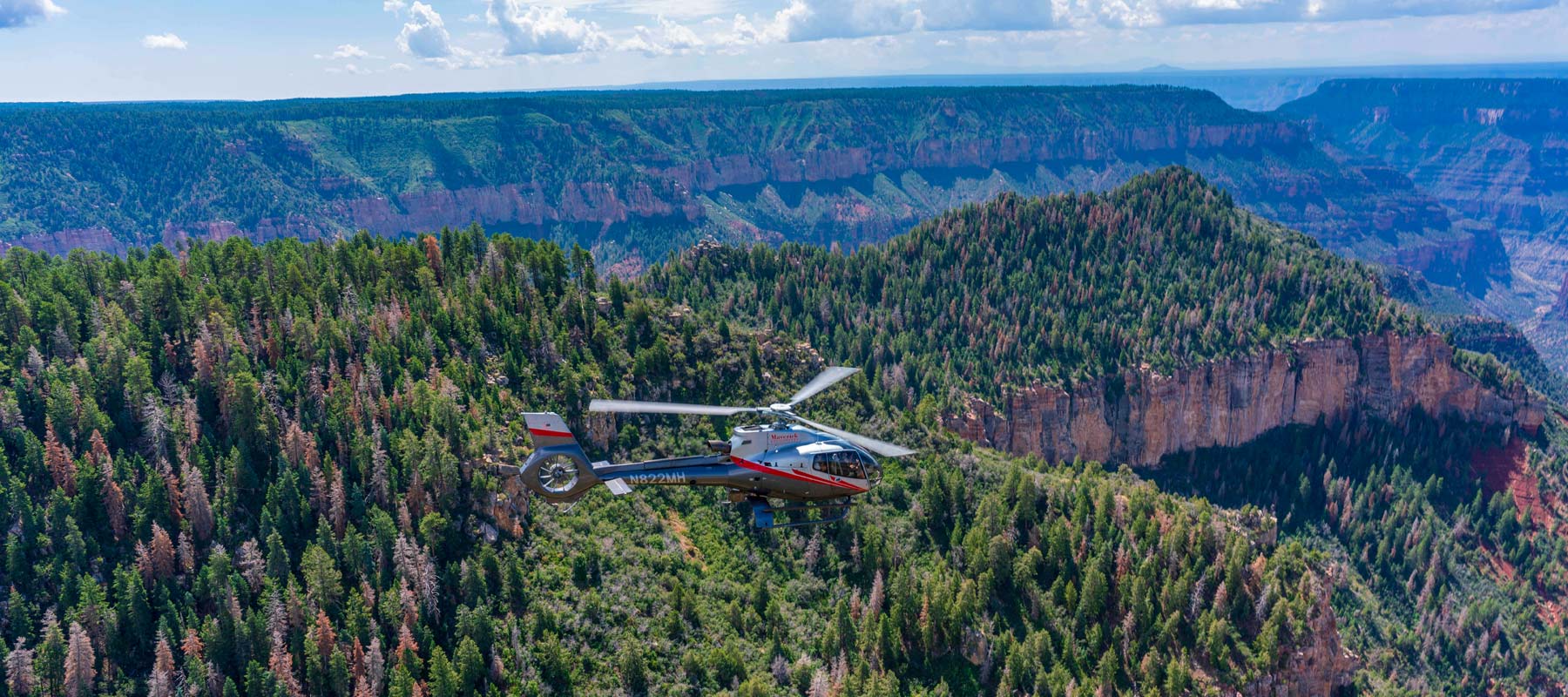 Scenic Grand Canyon Flight over the Kaibab National Forest