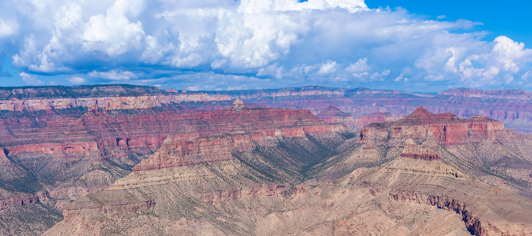  Grand Canyon South Rim landscape with colorful layered rock formations